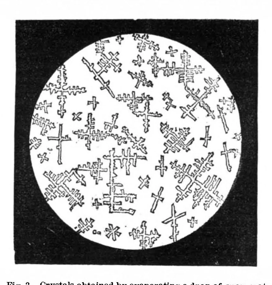 An illustration from Scientific American, Vol. 32, No. 12 (1875), 1875, leaf 3