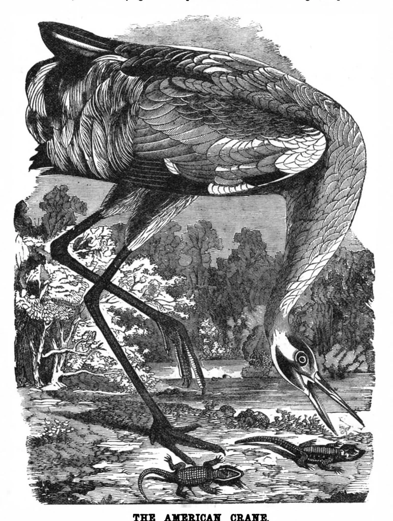 An illustration from Scientific American, Vol. 32, No. 12 (1875), 1875, leaf 8