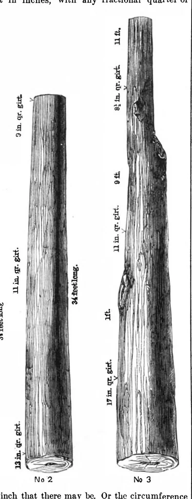 An illustration from Scientific American, Vol. 32, No. 13 (1875), 1875, leaf 3