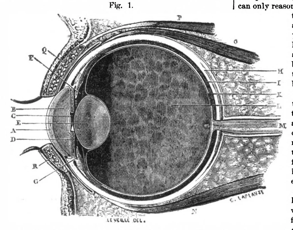 An illustration from Scientific American, Vol. 32, No. 17 (1875), 1875, leaf 9