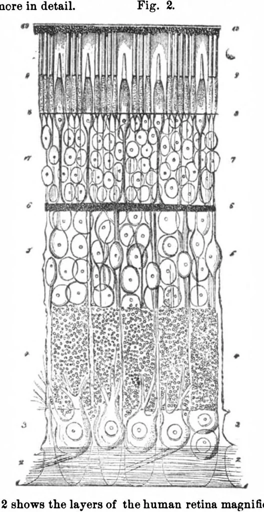 An illustration from Scientific American, Vol. 32, No. 17 (1875), 1875, leaf 9