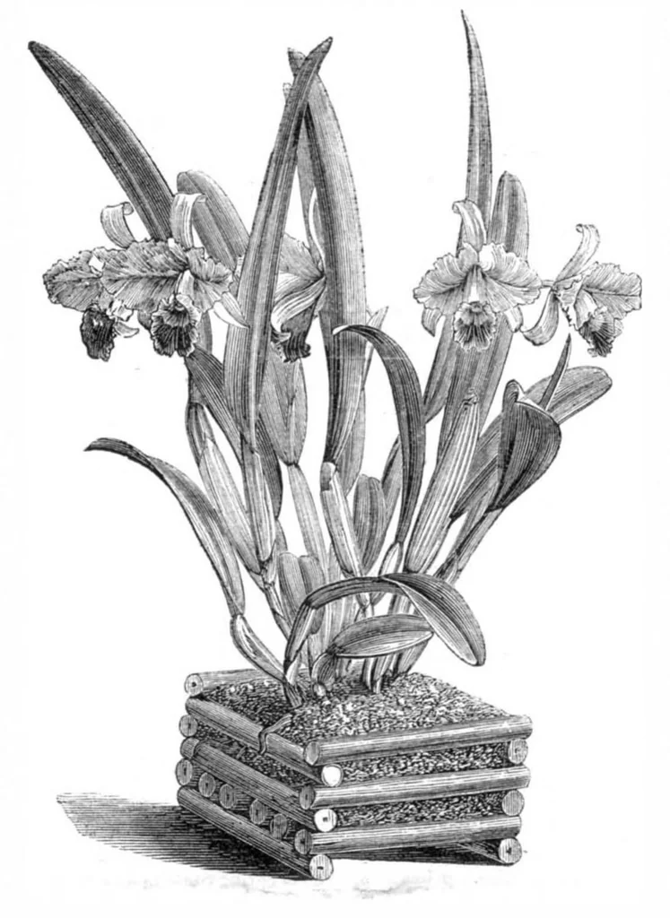 An illustration from Scientific American, Vol. 32, No. 18 (1875), 1875, leaf 8