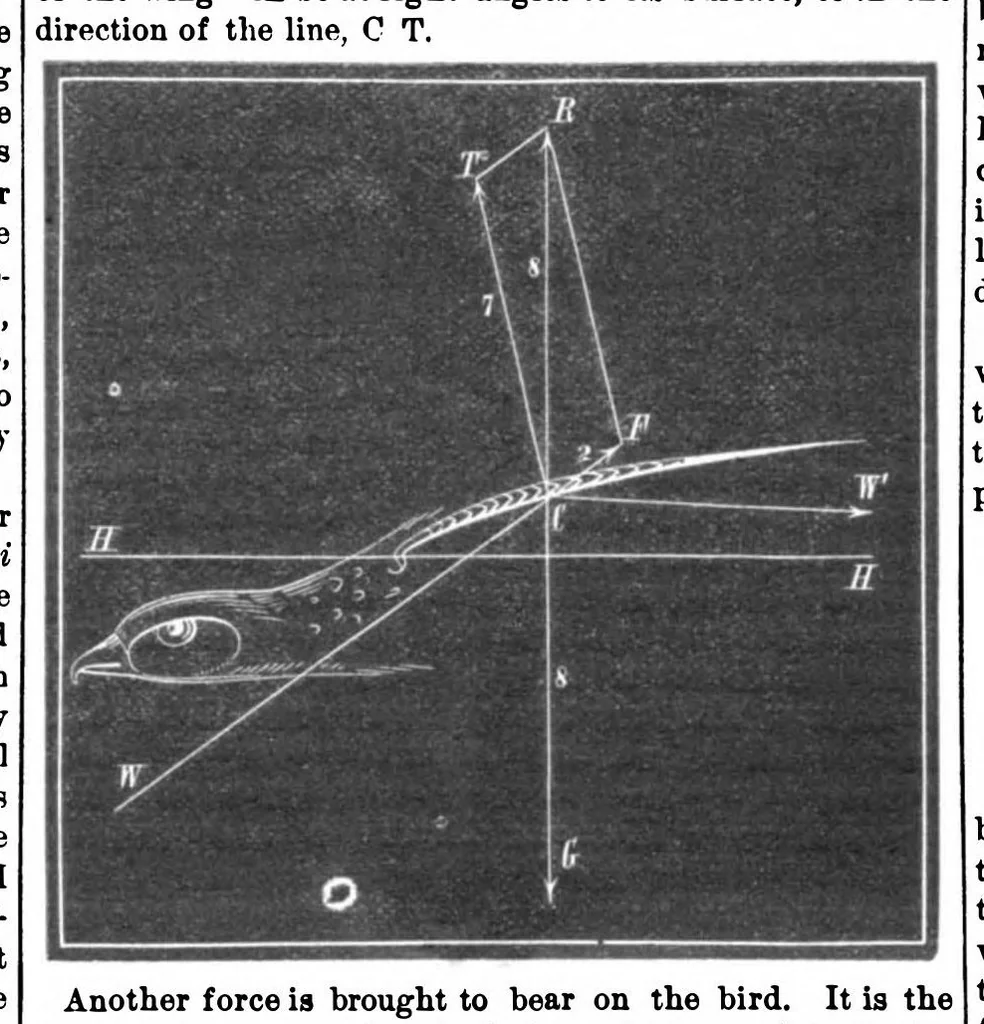 An illustration from Scientific American, Vol. 32, No. 19 (1875), 1875, leaf 5