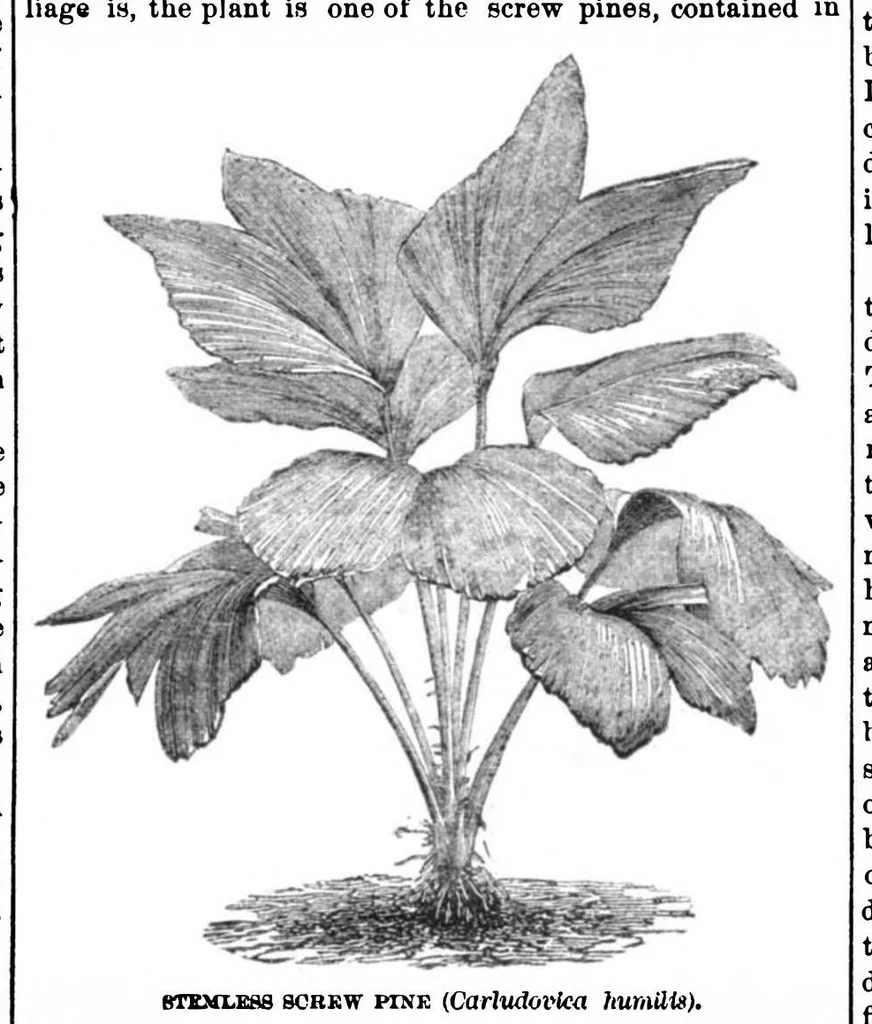 An illustration from Scientific American, Vol. 32, No. 19 (1875), 1875, leaf 6