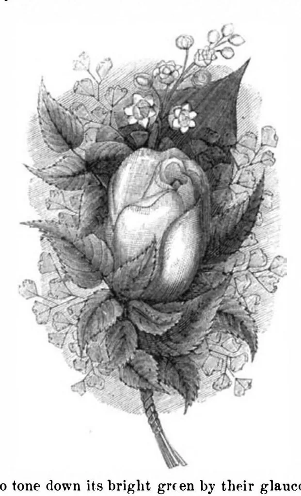 An illustration from Scientific American, Vol. 32, No. 22 (1875), 1875, leaf 8