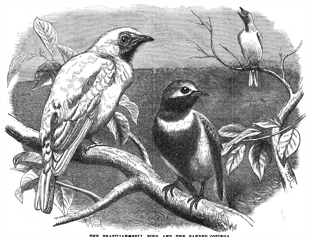 An illustration from Scientific American, Vol. 32, No. 24 (1875), 1875, leaf 8