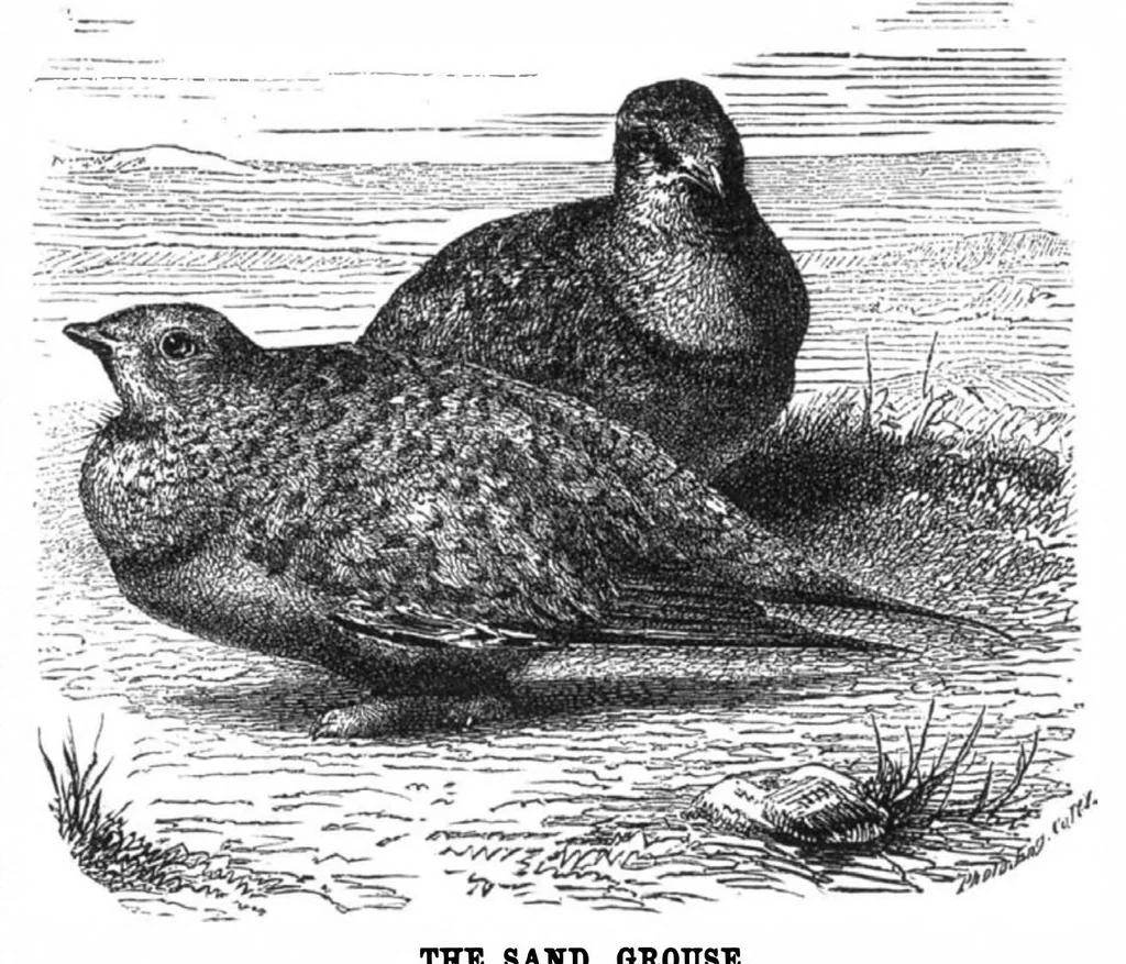 An illustration from Scientific American, Vol. 32, No. 26 (1875), 1875, leaf 8