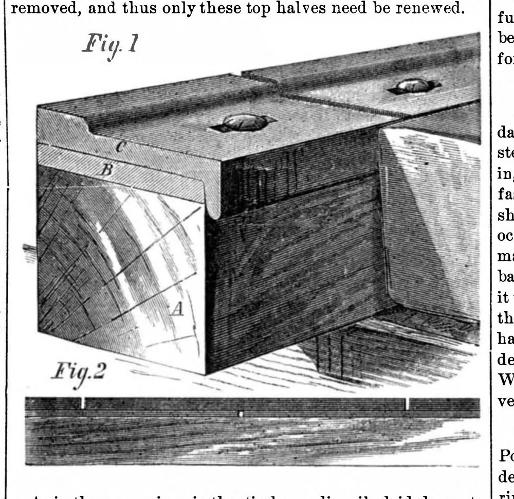 An illustration from Scientific American, Vol. 33, No. 4 (1875), 1875, leaf 8