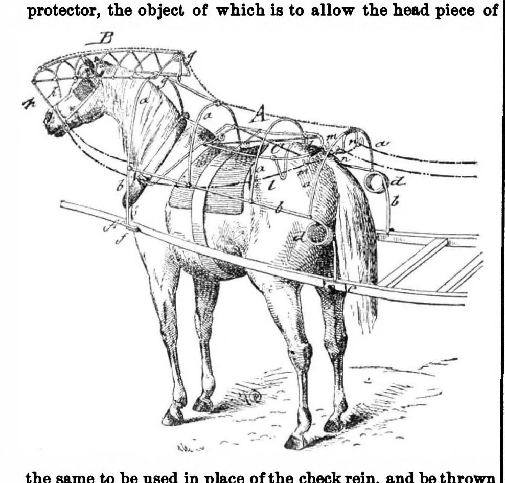 An illustration from Scientific American, Vol. 33, No. 5 (1875), 1875, leaf 3