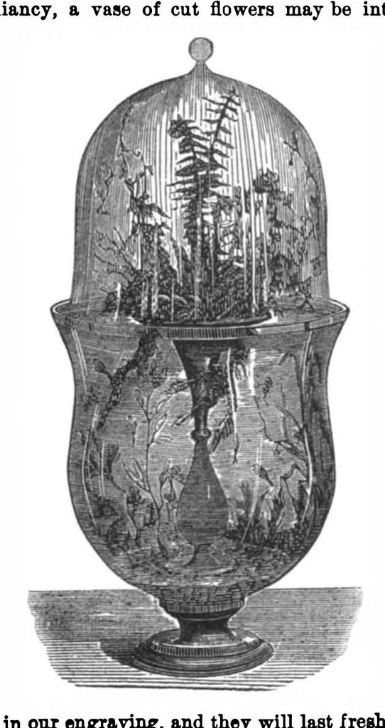 An illustration from Scientific American, Vol. 33, No. 7 (1875), 1875, leaf 8