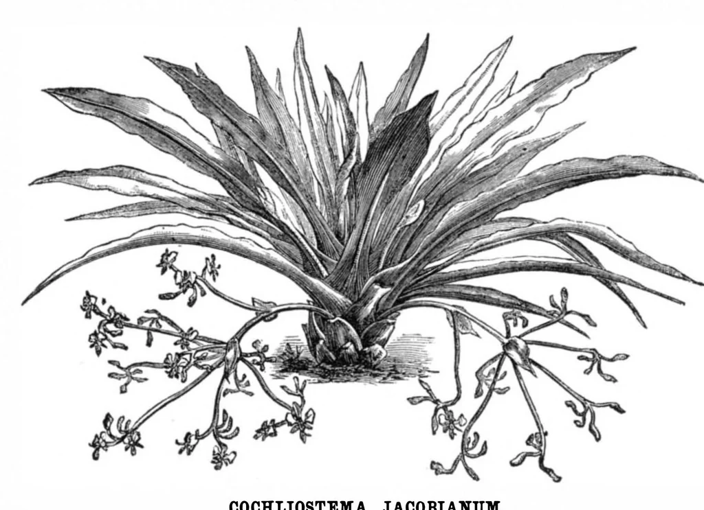 An illustration from Scientific American, Vol. 33, No. 11 (1875), 1875, leaf 8