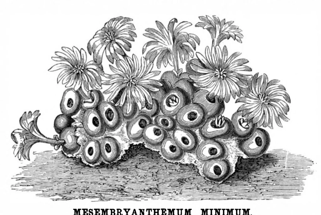 An illustration from Scientific American, Vol. 33, No. 11 (1875), 1875, leaf 8