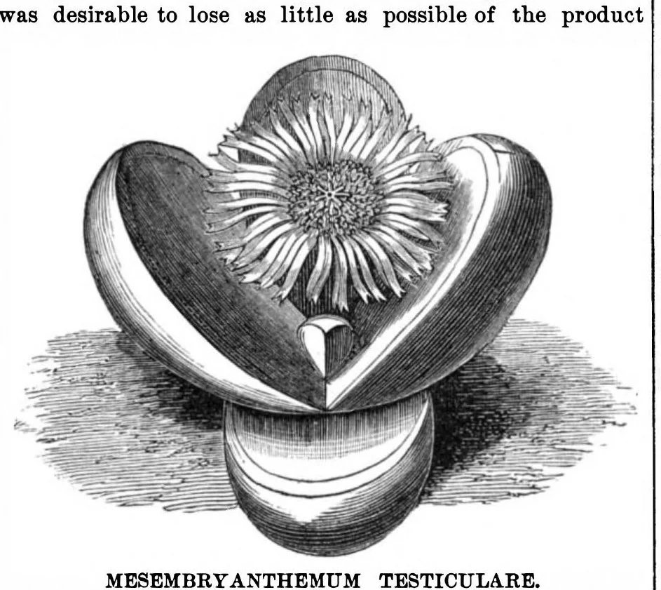 An illustration from Scientific American, Vol. 33, No. 11 (1875), 1875, leaf 8