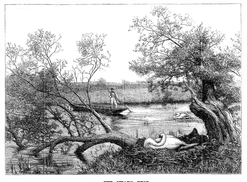 An illustration from Scientific American, Vol. 33, No. 12 (1875), 1875, leaf 8