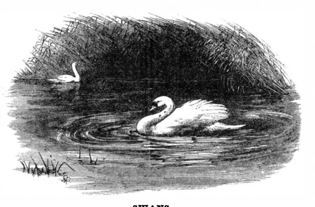 An illustration from Scientific American, Vol. 33, No. 12 (1875), 1875, leaf 8