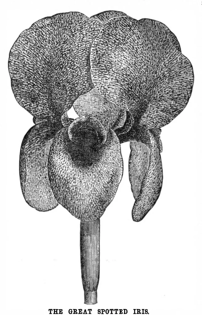 An illustration from Scientific American, Vol. 33, No. 16 (1875), 1875, leaf 8