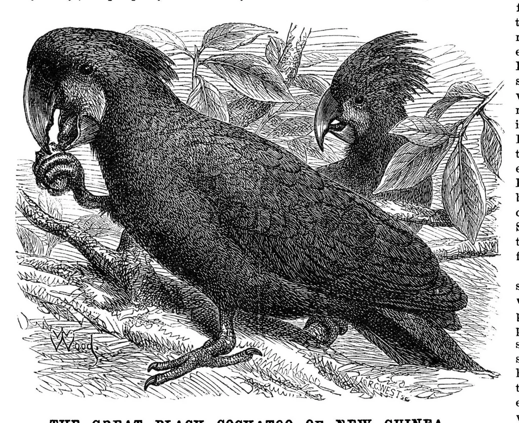 An illustration from Scientific American, Vol. 33, No. 19 (1875), 1875, leaf 8