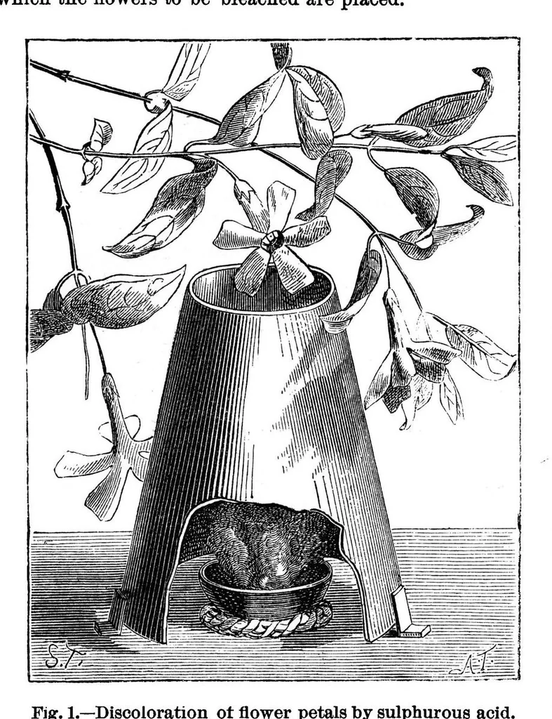 An illustration from Scientific American, Vol. 33, No. 20 (1875), 1875, leaf 8