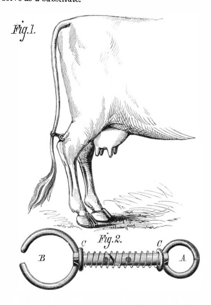 An illustration from Scientific American, Vol. 33, No. 23 (1875), 1875, leaf 4