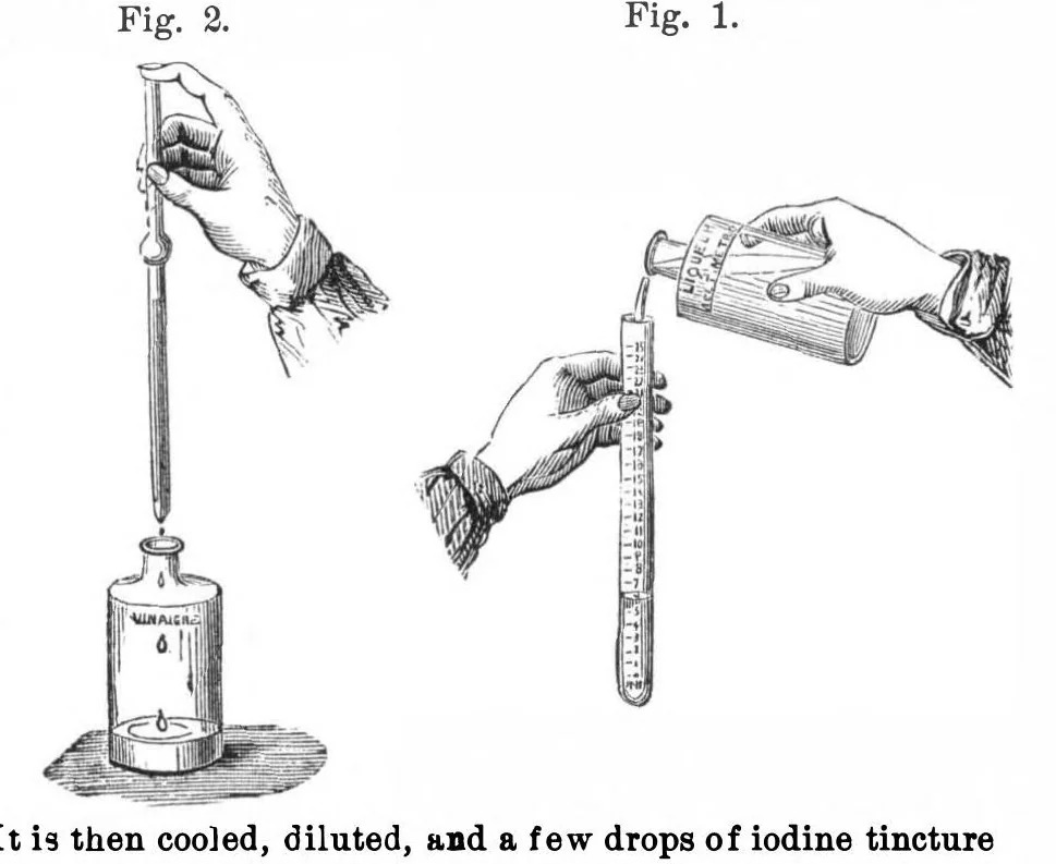 An illustration from Scientific American, Vol. 33, No. 26 (1875), 1875, leaf 3
