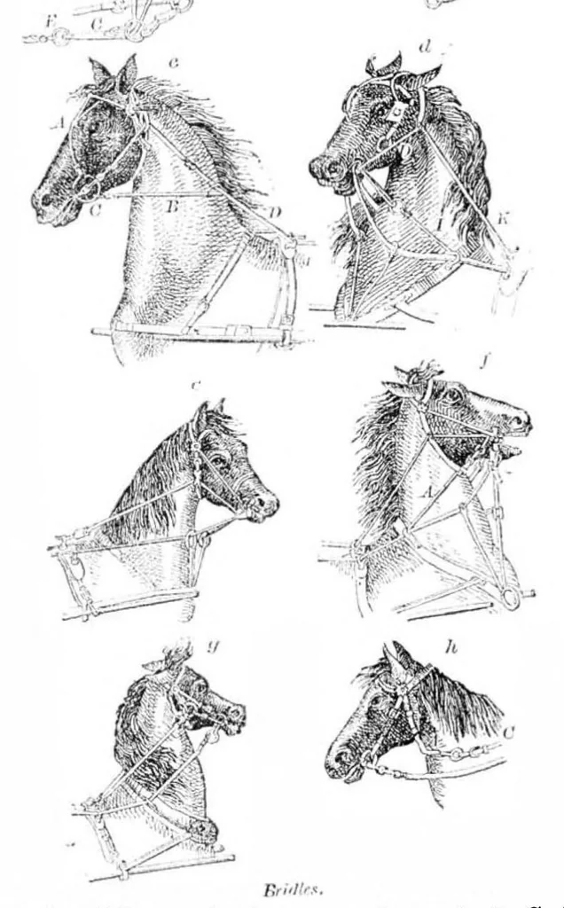 An illustration from Scientific American, Vol. 34, No. 2 (1876), 1876, leaf 9