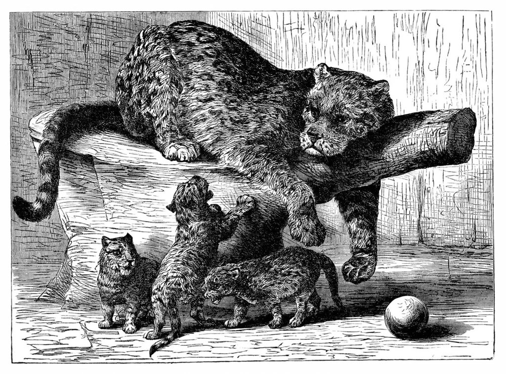 An illustration from Scientific American, Vol. 34, No. 3 (1876), 1876, leaf 8