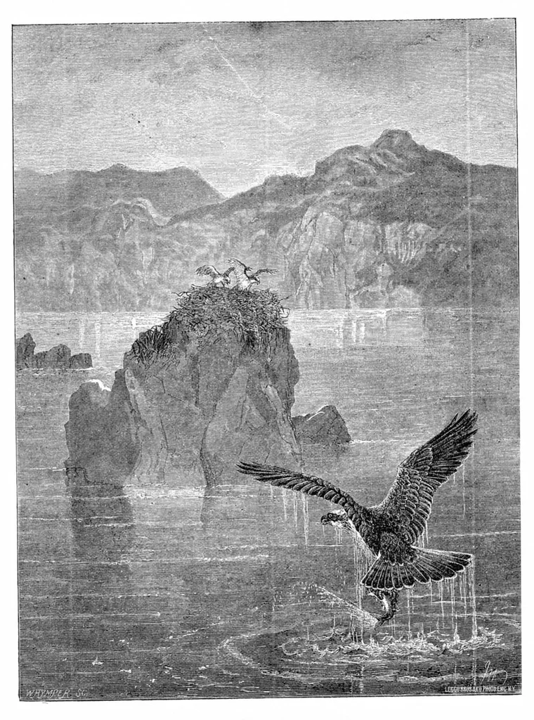 An illustration from Scientific American, Vol. 34, No. 7 (1876), 1876, leaf 8