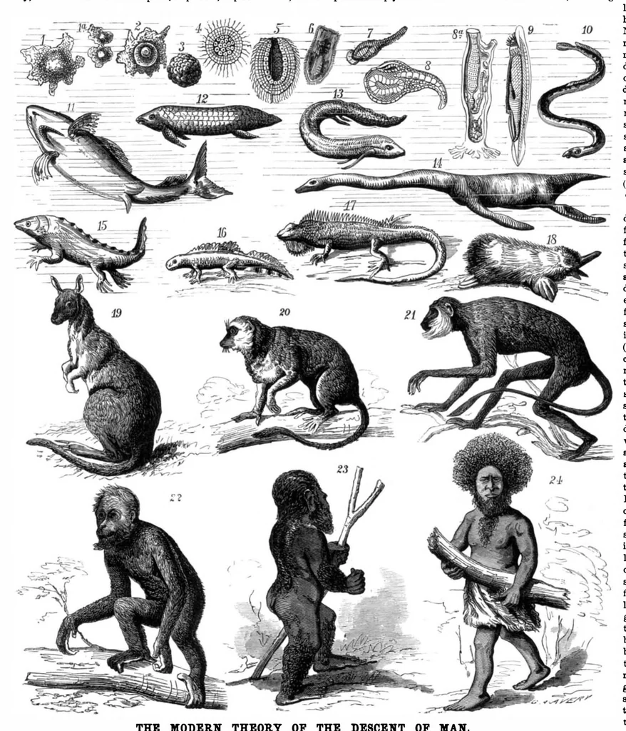 An illustration from Scientific American, Vol. 34, No. 11 (1876), 1876, leaf 8