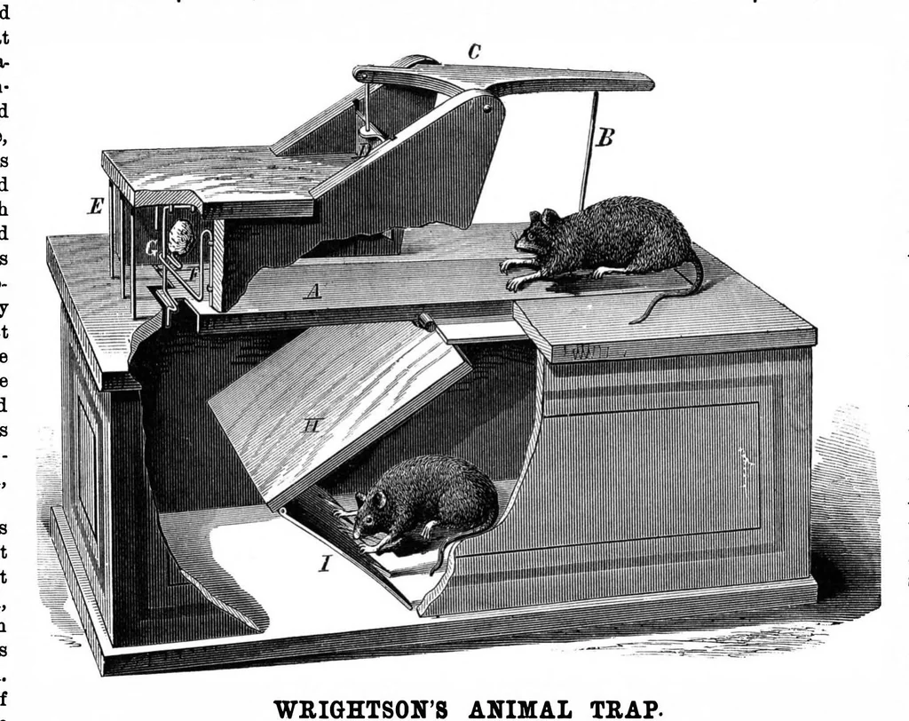 An illustration from Scientific American, Vol. 34, No. 14 (1876), 1876, leaf 3