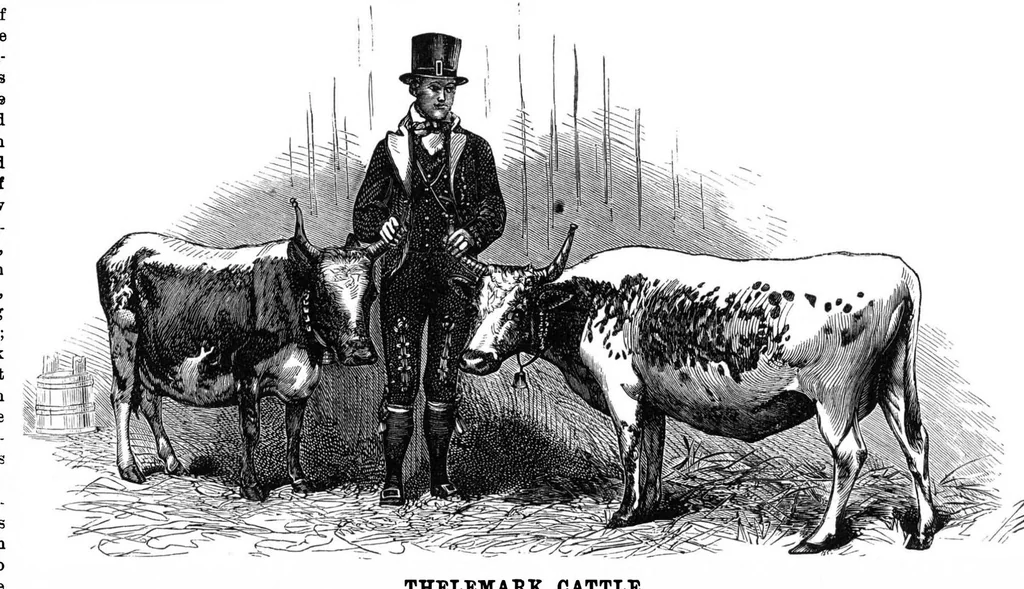 An illustration from Scientific American, Vol. 34, No. 15 (1876), 1876, leaf 4