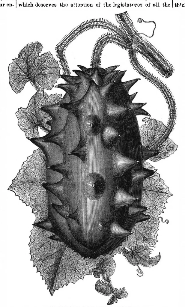 An illustration from Scientific American, Vol. 34, No. 16 (1876), 1876, leaf 8