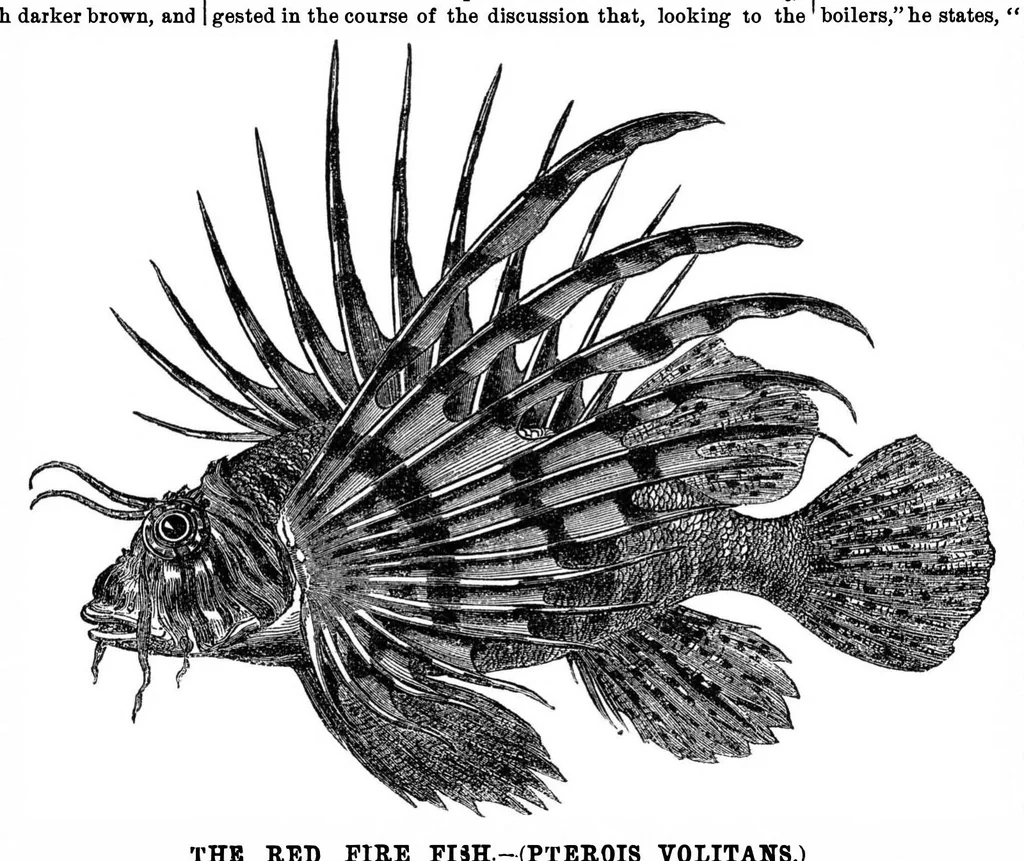 An illustration from Scientific American, Vol. 34, No. 17 (1876), 1876, leaf 8
