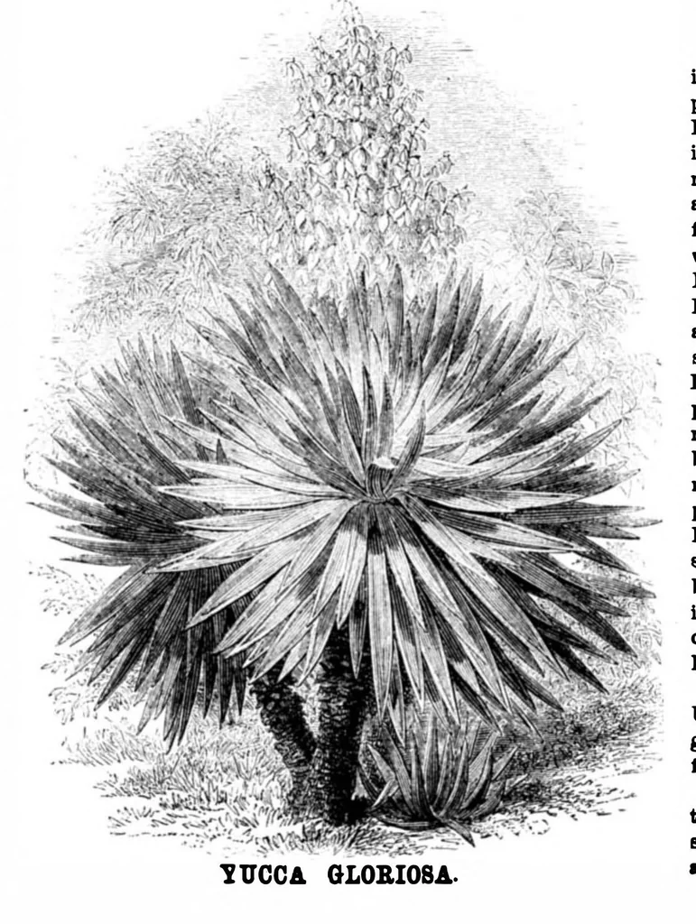 An illustration from Scientific American, Vol. 34, No. 20 (1876), 1876, leaf 8