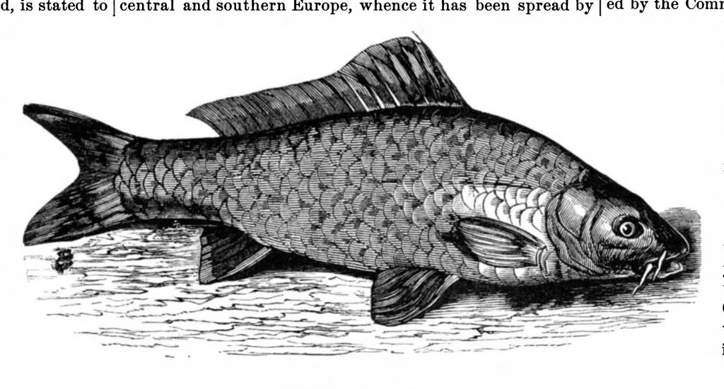 An illustration from Scientific American, Vol. 34, No. 23 (1876), 1876, leaf 8