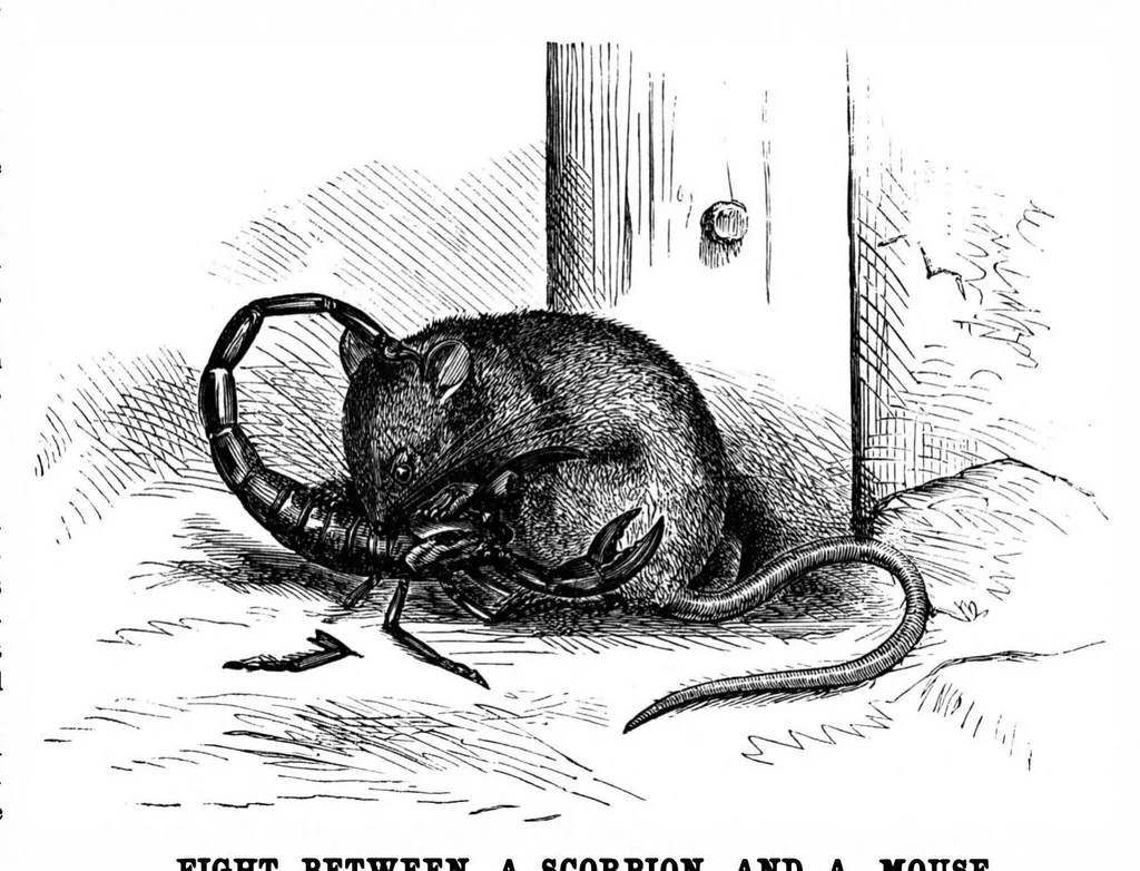 An illustration from Scientific American, Vol. 35, No. 1 (1876), 1876, leaf 7