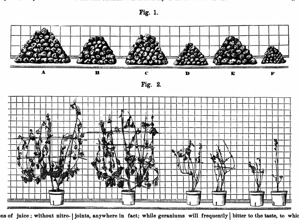 An illustration from Scientific American, Vol. 35, No. 4 (1876), 1876, leaf 8