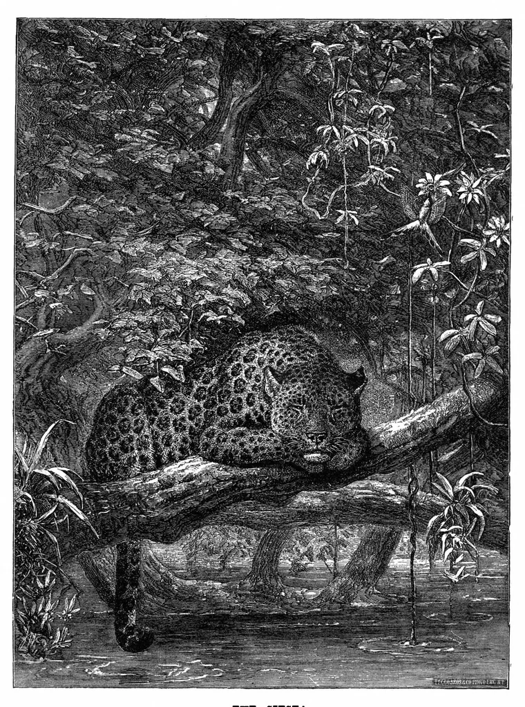 An illustration from Scientific American, Vol. 35, No. 5 (1876), 1876, leaf 8