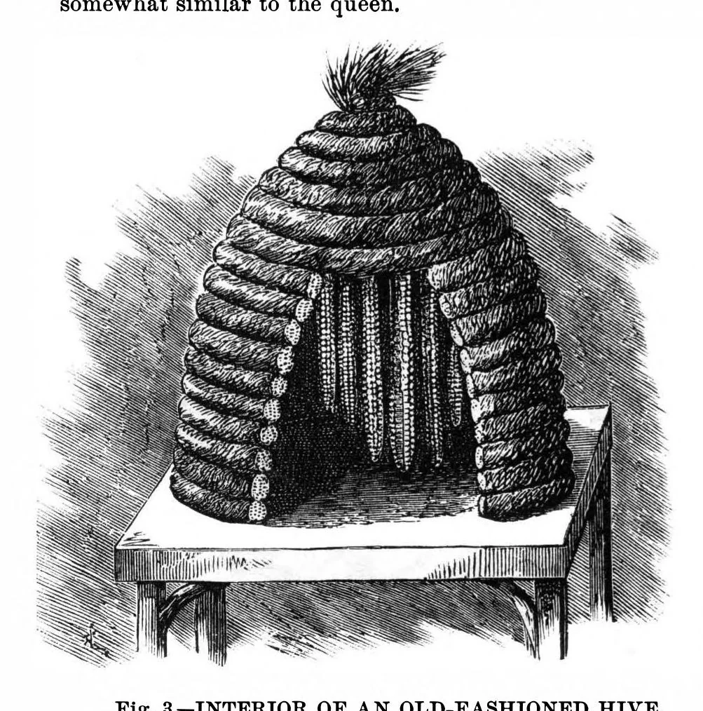 An illustration from Scientific American, Vol. 35, No. 7 (1876), 1876, leaf 8