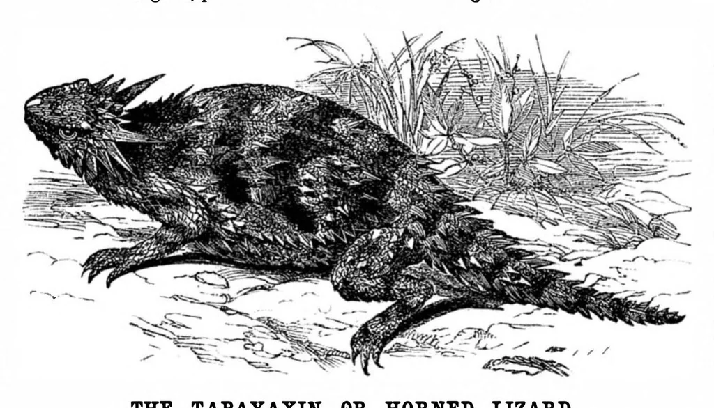An illustration from Scientific American, Vol. 35, No. 10 (1876), 1876, leaf 10
