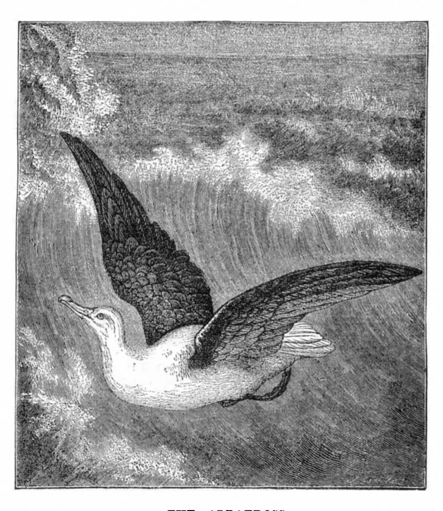 An illustration from Scientific American, Vol. 35, No. 10 (1876), 1876, leaf 8