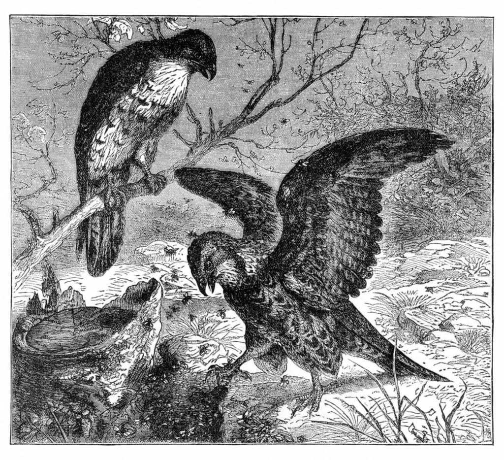 An illustration from Scientific American, Vol. 35, No. 13 (1876), 1876, leaf 8