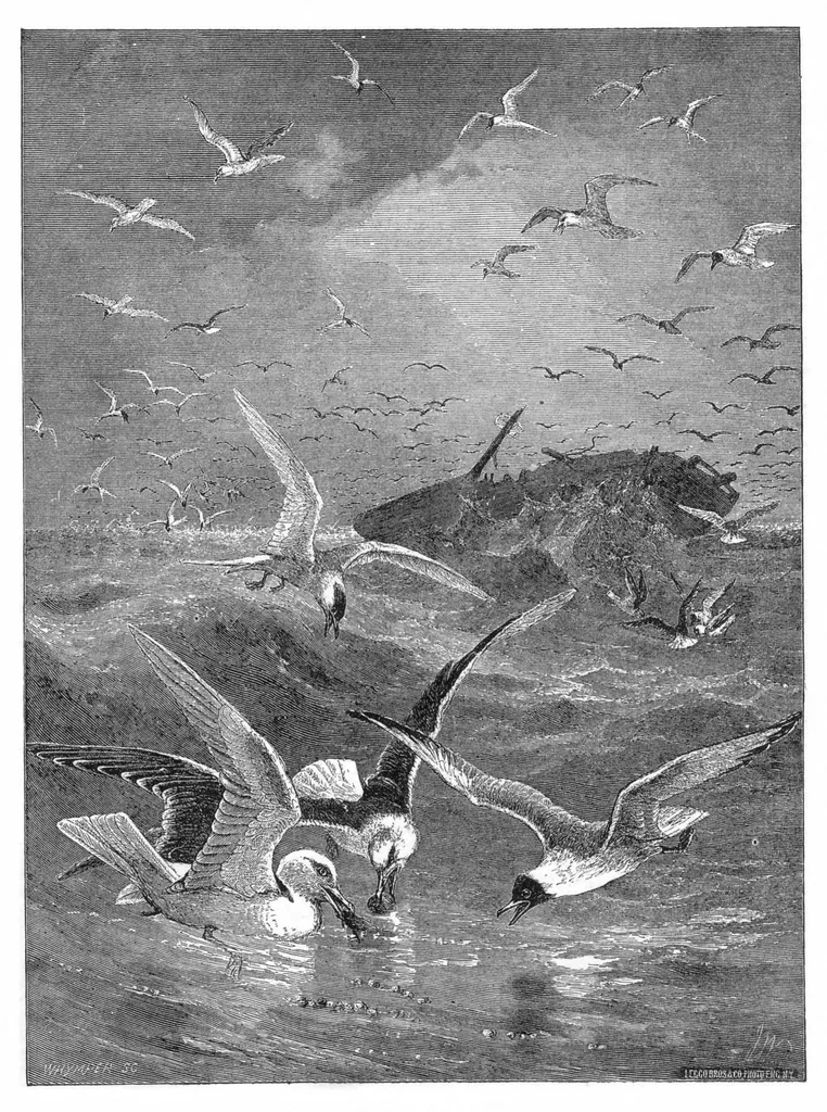 An illustration from Scientific American, Vol. 35, No. 16 (1876), 1876, leaf 8