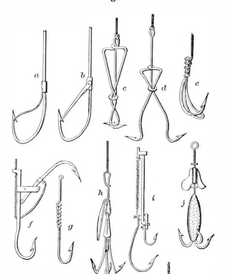 An illustration from Scientific American, Vol. 35, No. 18 (1876), 1876, leaf 4
