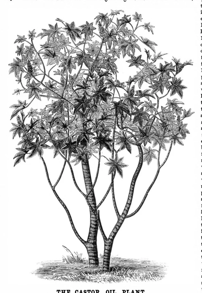 An illustration from Scientific American, Vol. 35, No. 22 (1876), 1876, leaf 8