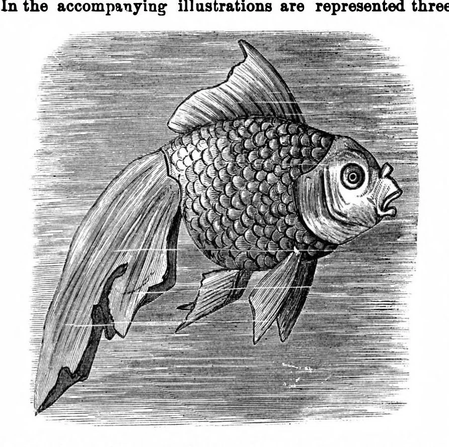 An illustration from Scientific American, Vol. 35, No. 25 (1876), 1876, leaf 8