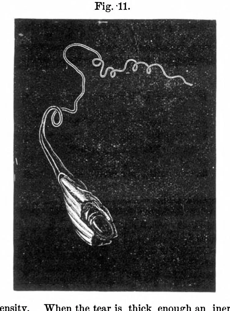 An illustration from Scientific American, Vol. 36, No. 2 (1877), 1877, leaf 3
