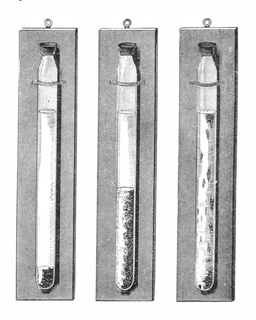 An illustration from Scientific American, Vol. 36, No. 3 (1877), 1877, leaf 7
