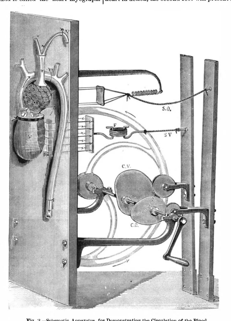 An illustration from Scientific American, Vol. 36, No. 4 (1877), 1877, leaf 4