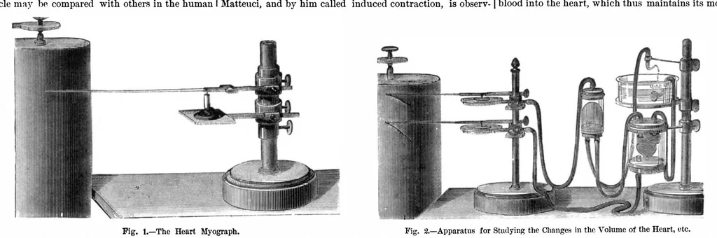An illustration from Scientific American, Vol. 36, No. 4 (1877), 1877, leaf 4
