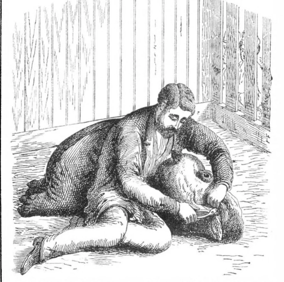 An illustration from Scientific American, Vol. 36, No. 5 (1877), 1877, leaf 4